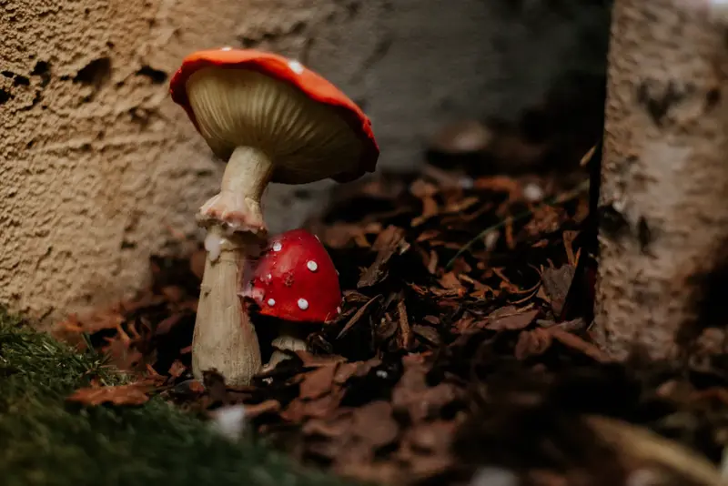 Leśne detale scenografii pokoju zagadek Starzik